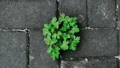 Deposit Win Casino Mobile App